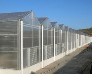阳光板连栋温室